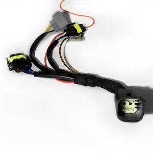 AlphaRex - 2020 - 2021 Toyota AlphaRex Wiring Adapter for Headlight Assembly - 810017 - Image 2