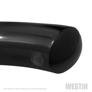 Westin - 2019 - 2021 Ford Westin PRO TRAXX 4 Oval Nerf Step Bars - 21-24145 - Image 7