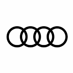 Revel Links - Revel Links for Audi